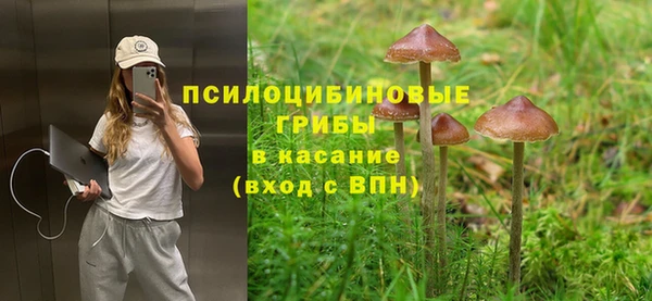 дурь Нея