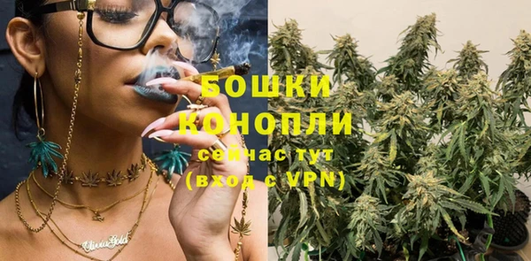 дурь Нея